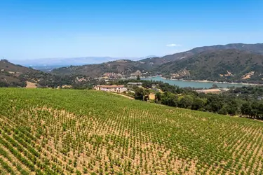 Black Ridge Vinyard Estates