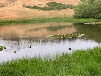Discover the Charm of Scotts Valley Homes