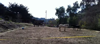 Discover the Charm of California's Equestrian Homes