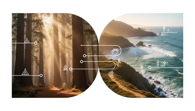 Santa Cruz Camping Redwoods to Rugged Coastlines