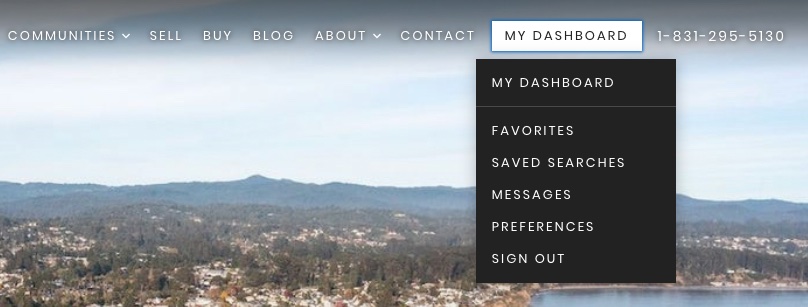“dashboard