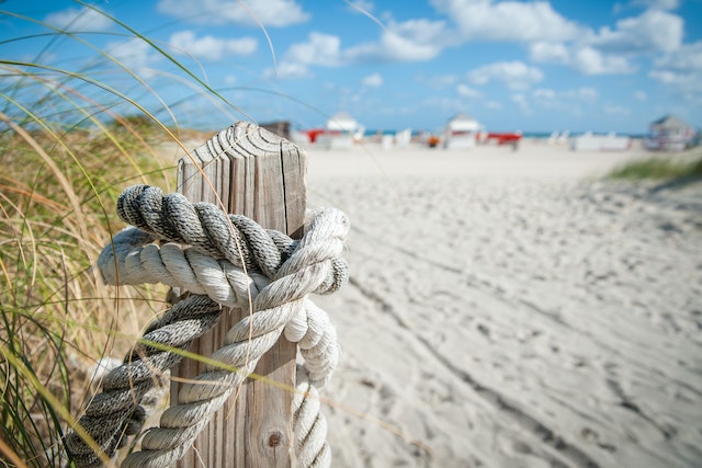 A close-up photo of white rope on brown wood on the beach.