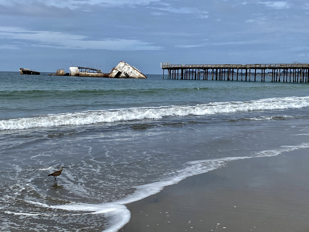 SS Palo Alto at Seacliff State Beach Santa Cruz CA