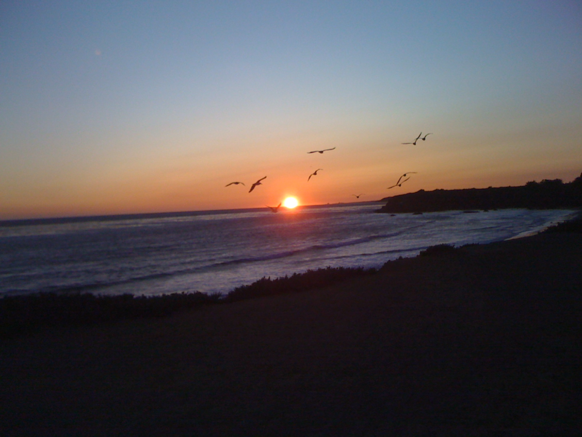 Beach walks in Santa Cruz CA 