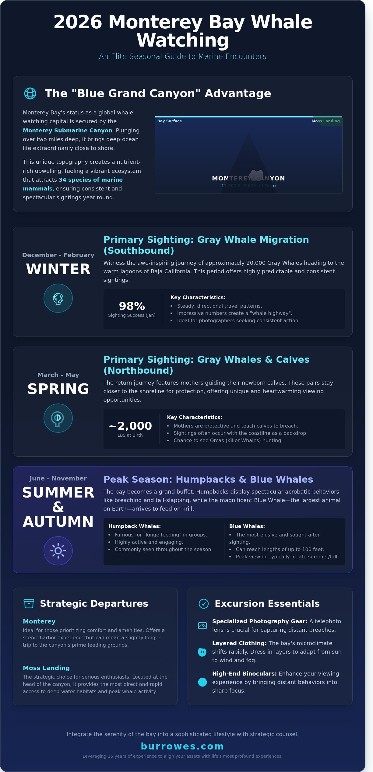 infographic for Monterey Bay Whale Watching