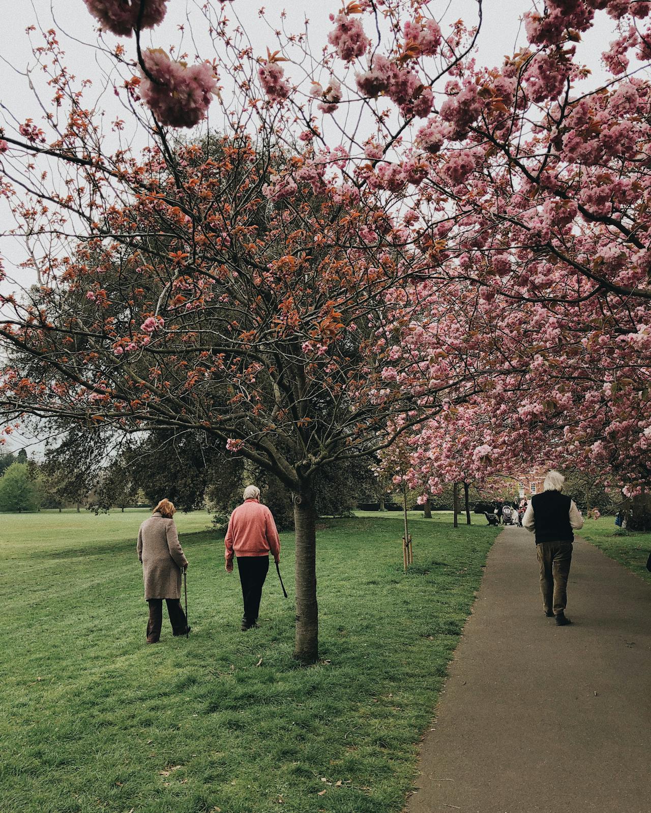 Couple walking in the park