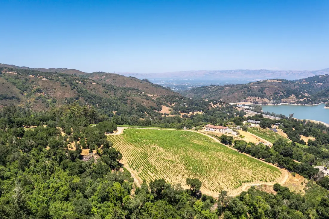 View from Black Ridge Vineyards to Downtown San Jose