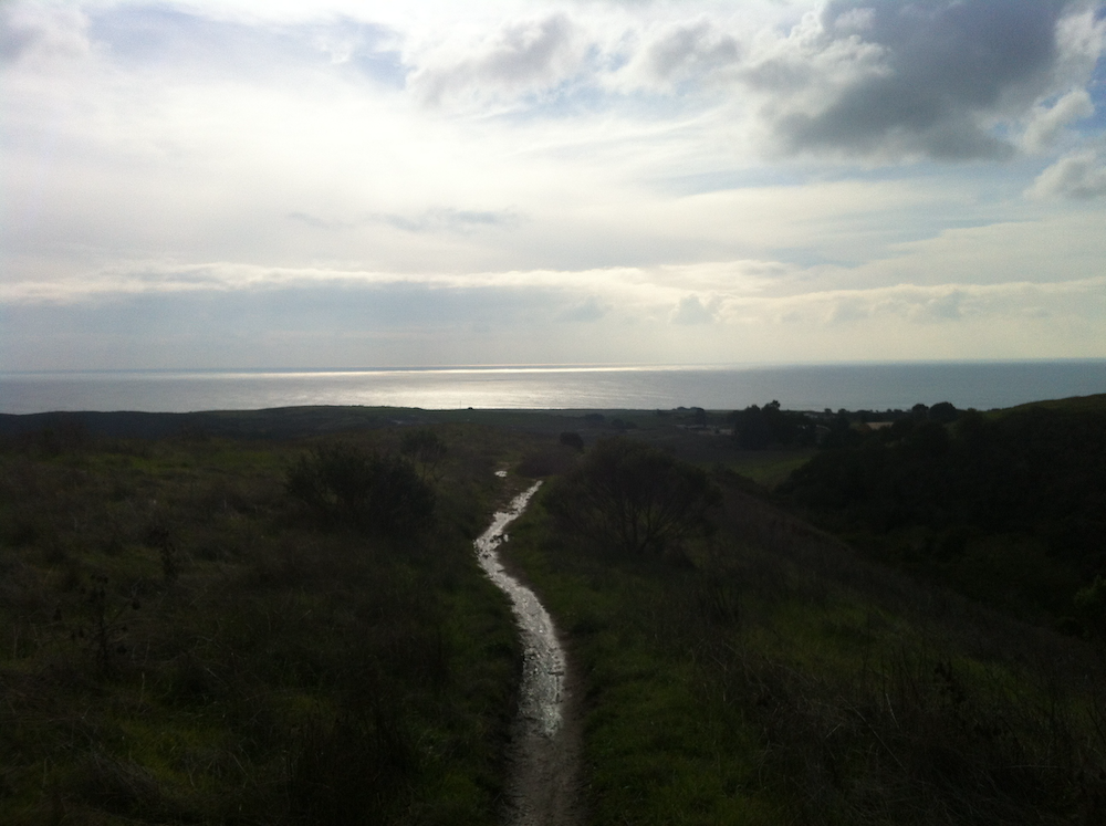 wilder-ranch-bike-trail-ocean-view
